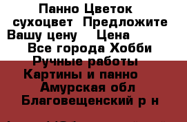 Панно Цветок - сухоцвет. Предложите Вашу цену! › Цена ­ 4 000 - Все города Хобби. Ручные работы » Картины и панно   . Амурская обл.,Благовещенский р-н